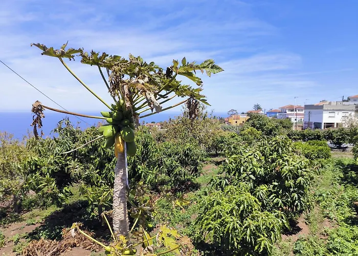 Guayonje Costa Appartement