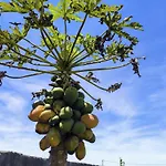 شقة Guayonje Costa سانتا كروز دي تينيريف