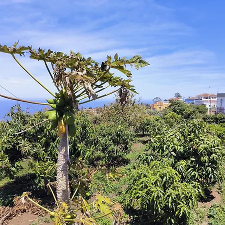 Guayonje Costa アパート