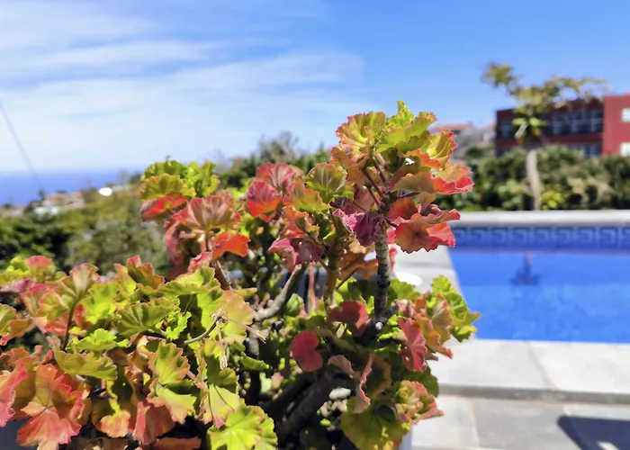 Apartamento Guayonje Costa *