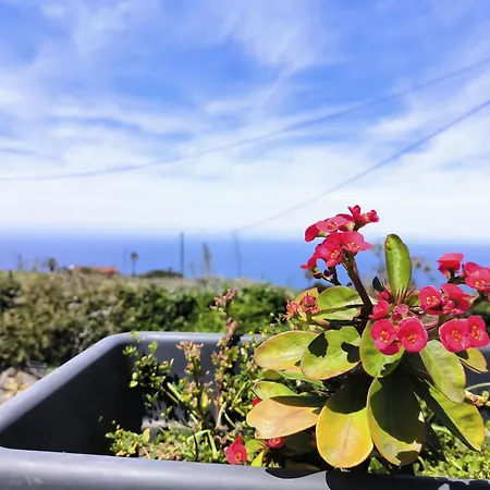 Guayonje Costa 산타크루스데 테네리페