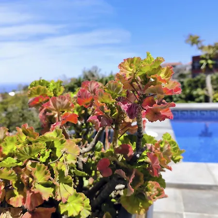 Apartament Guayonje Costa *