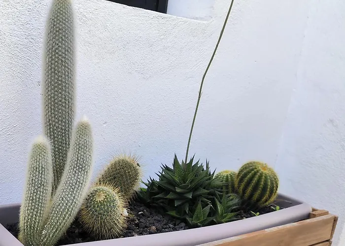 Apartamento Guayonje Costa *