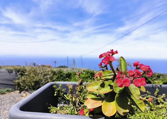Guayonje Costa Santa Cruz de Tenerife